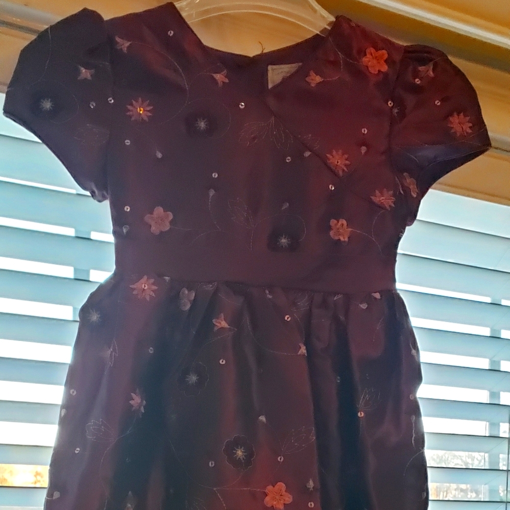 Purple princess dress